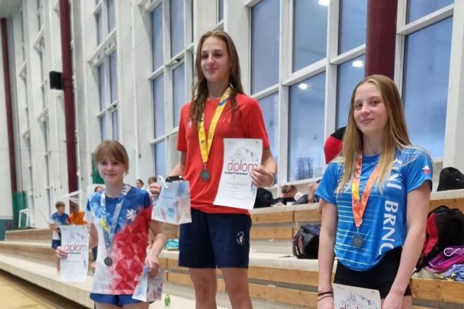 Mezinárodní závody ve skocích do vody